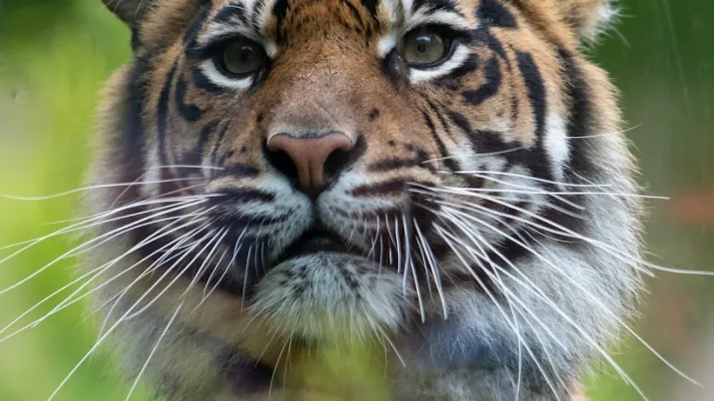 Orientarium ZOO Łódź